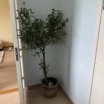 Apartment In The Middle Of Oslo