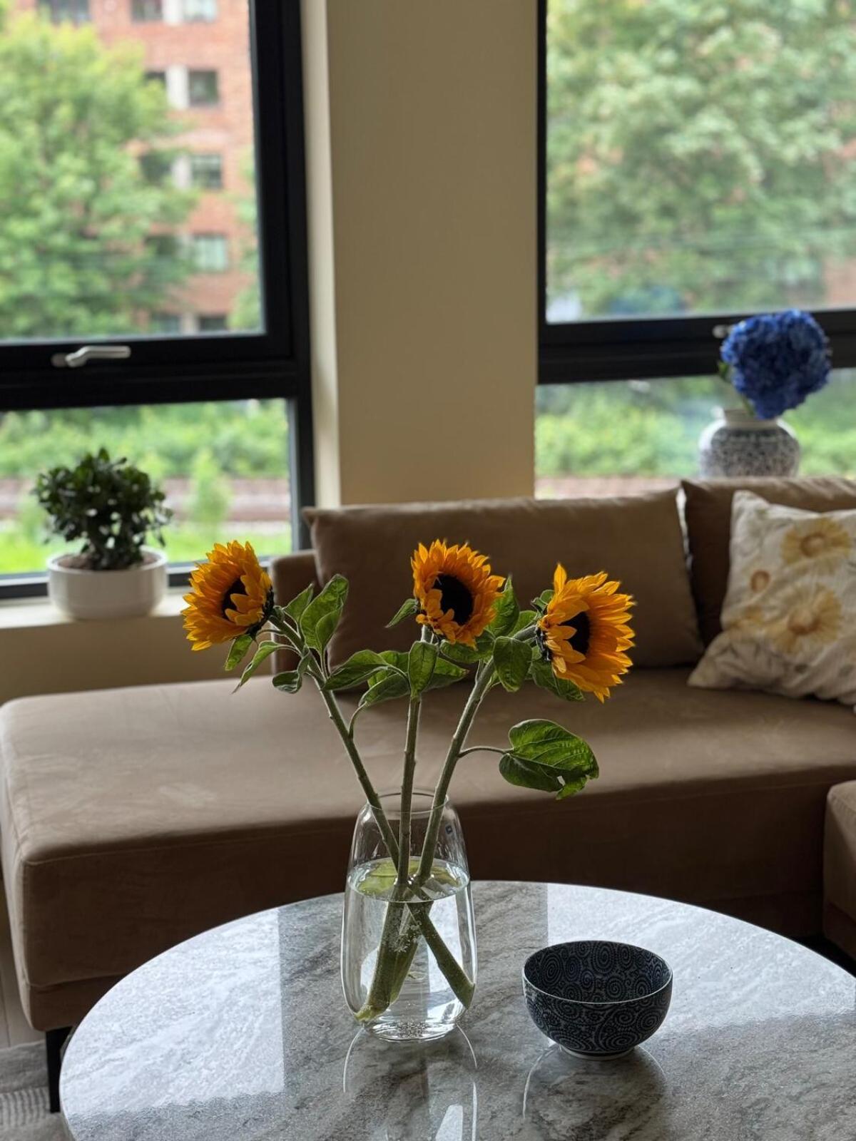 In The Middle Of Apartment *