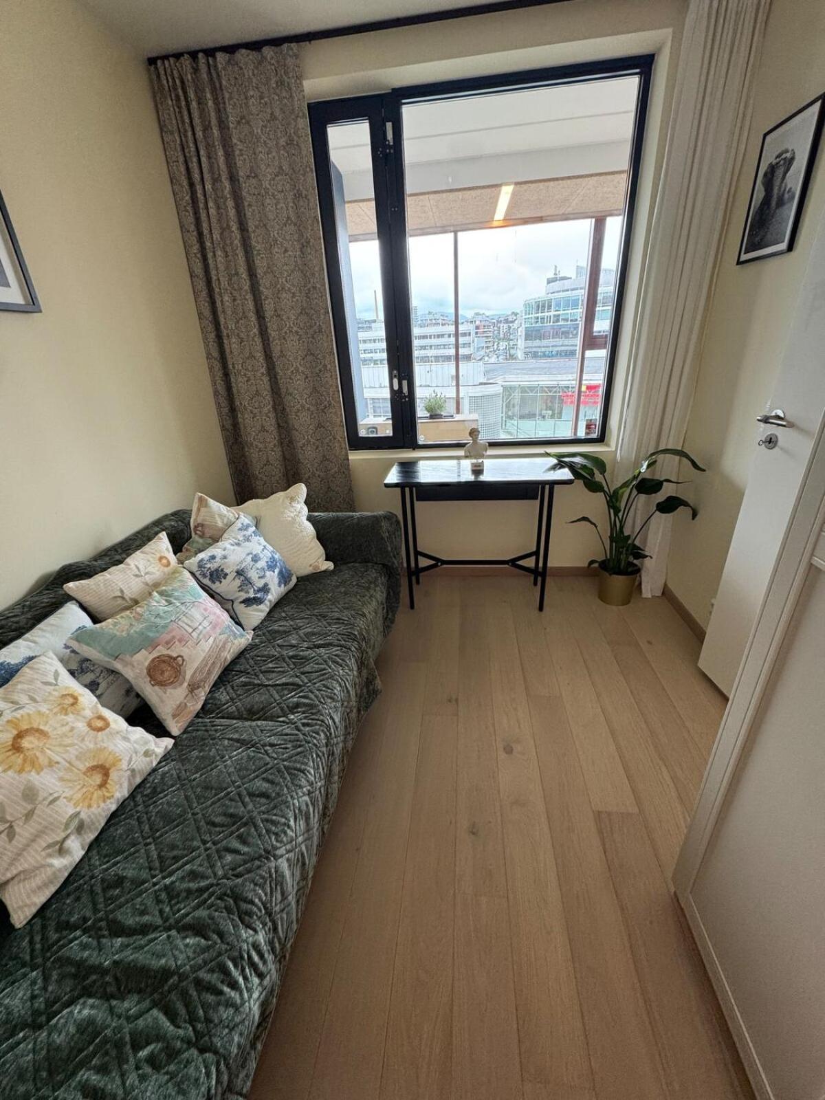 Apartment In The Middle Of Oslo